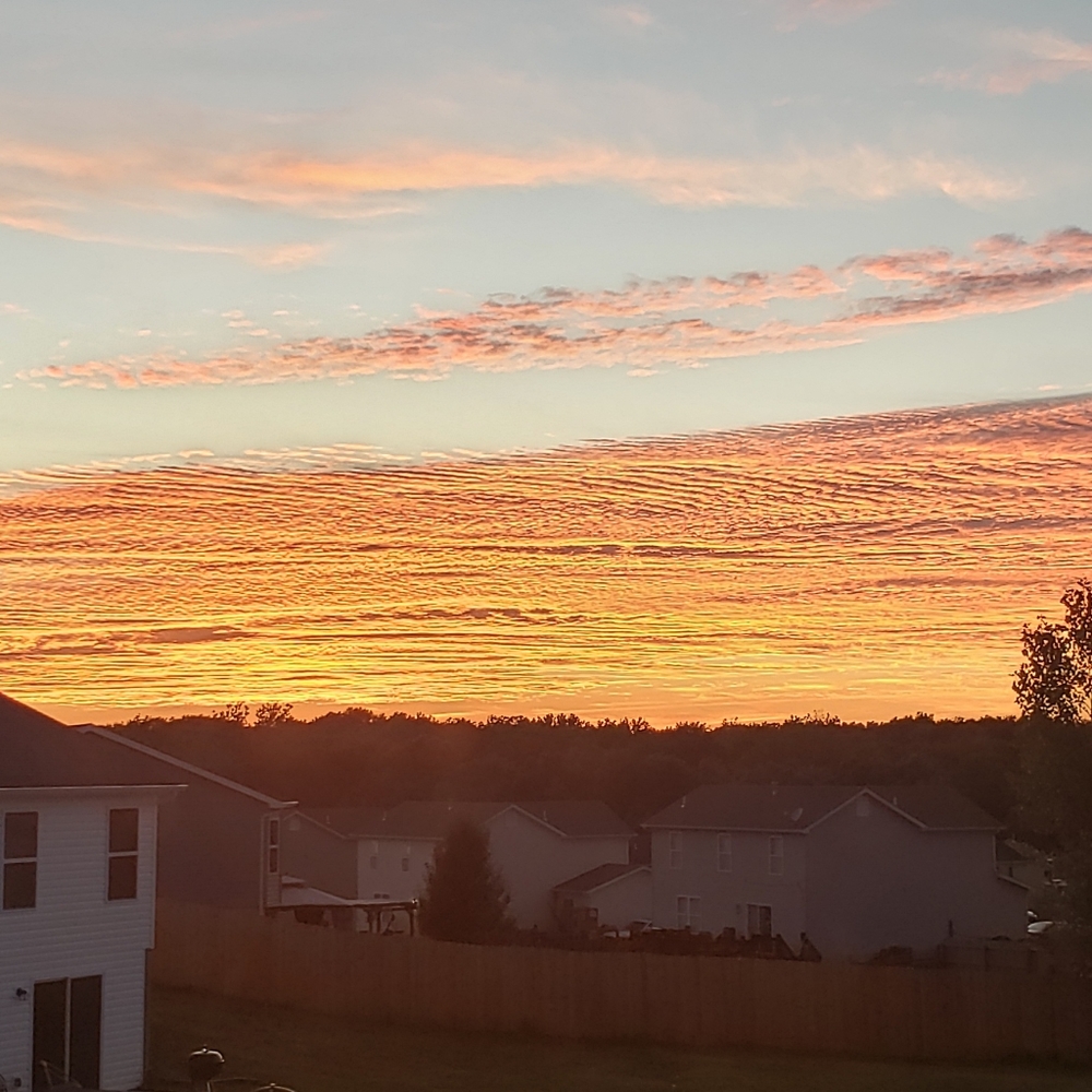 Meet your Posher, Dawson.